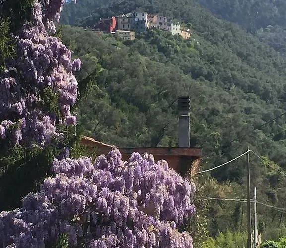 Prázdninový dům Five Lands Pink Levanto