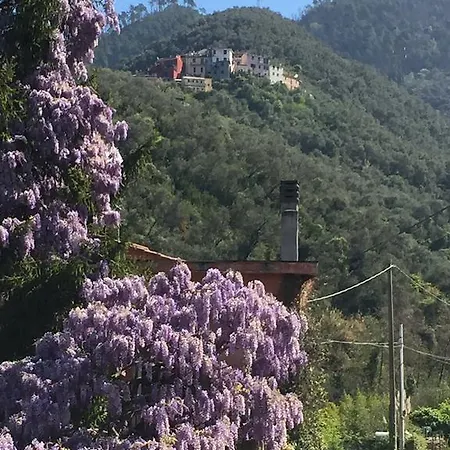 Prázdninový dům Five Lands Pink Levanto